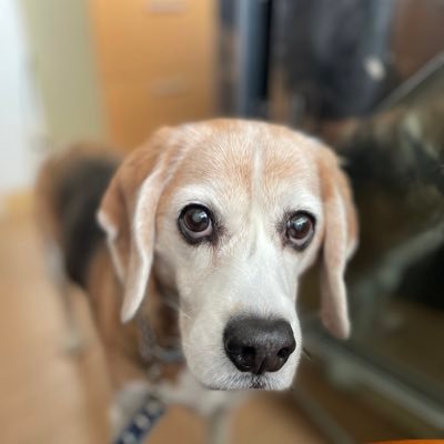 1Bmtvv's profile picture. いつも機嫌良くね。