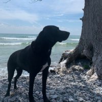 Jim Roy (@royjimroy) 's Twitter Profile