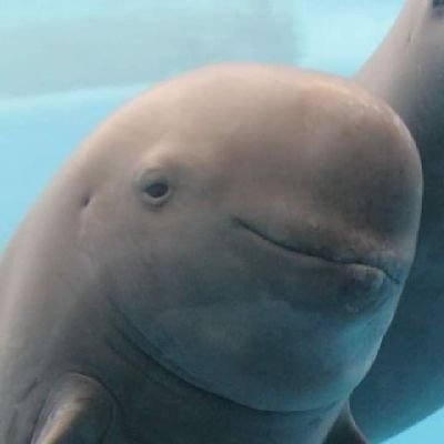 hiwtaro's profile picture. อย่าให้กูถูกหวยแล้วกัน