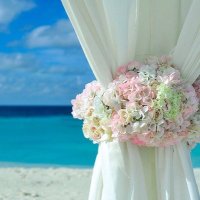 高野百加@「わたしをあなたで甘くして」コミカライズ配信中！ (@momoka_takano) Twitter profile photo