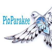 PioParakee@予約不要5/17,18・カボションダイヤモンドパーティー駒込(@paleparakeet) 's Twitter Profile Photo