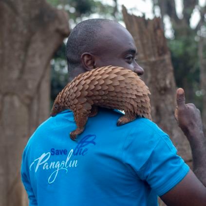 Founder & Director, Alliance for Pangolin Conservation-Ghana (Pangolin-Gh)