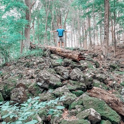 SillyJmilly's profile picture. “things become easy when you fully commit”