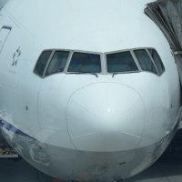 豪州兄貴✈️ ピピ貝㌠𝕏 (@simple_md11) 's Twitter Profile