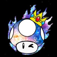 Royaume_champignon (@royaumechampi) 's Twitter Profile Photo