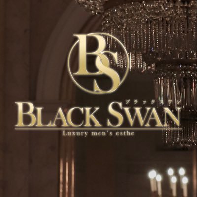 BLACKSWAN 高級メンズエステ中央林間店です🪶完全個室/中央林間3分/厳選した最上級のセラピストのみ採用/癒し接客最高級を目指したメンズエステ店/深夜営業/営業時間10:00-翌05:00（最終受付03:00）/お電話080-4670-6182