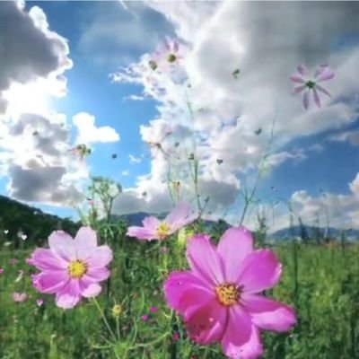 바르게 살자!
거짓말 안하고, 도둑질 안하고, 폭력 안쓰고!
남한테 무례한 행동 안하고, 공중도덕 잘 지키고.....으이?
