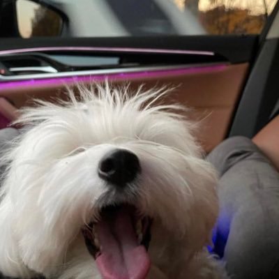 deanskive's profile picture. soft!cheol enthu