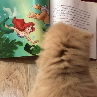 fluffydattebayo's profile picture. and she lived as a medical student miserably ever after