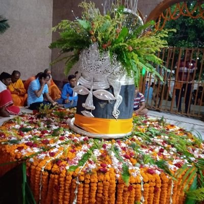 gunjanbhardwajv's profile picture. 