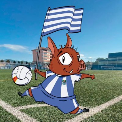 Twitter oficial de la UD Cassà - Futbol des del 1912. Actualment a #2cat1 i #1catfem Facebook oficial: https://t.co/MvnLannU0T Instagram @udcassa