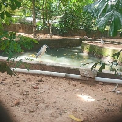 pravinjose21's profile picture. 