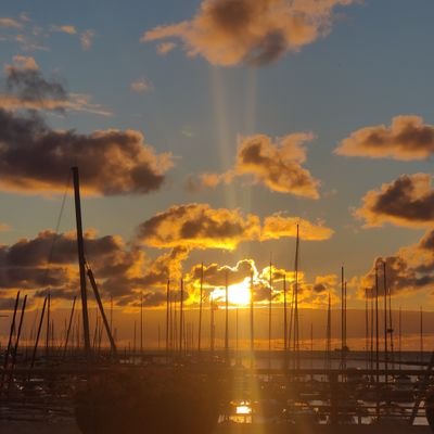 Peetulainen's profile picture. 