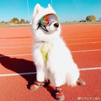 Yuefan Shen (@jhonve_shen) 's Twitter Profile Photo Yuefan Shen (@jhonve_shen) 's Twitter Profile Photo