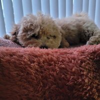 Colin Gault (@thrlrds2007) 's Twitter Profile