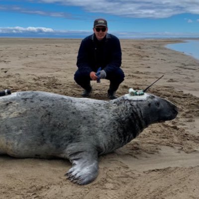 Research Scientist @DFO_Science on pinniped ecology and predator-prey relationships | Adjunct Prof. @USherbrooke | PhD on salmonids @DalhousieU @OceanTracking