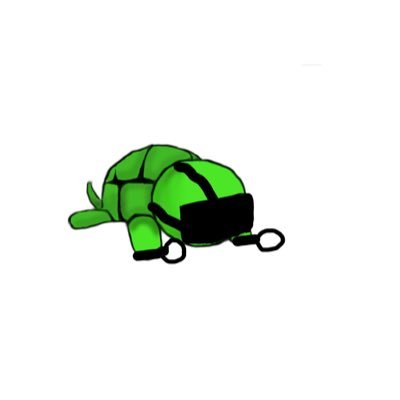 Virtual Turtle