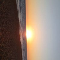 Kitiri_bwc (@foxarjvay) 's Twitter Profile