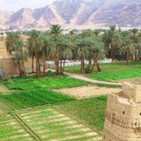 الحمدلله (@aaabbbccdl) 's Twitter Profile