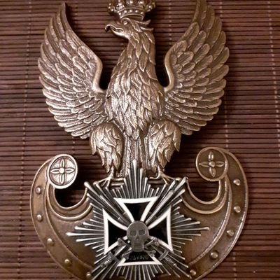 DariuszPtaszys1's profile picture. 