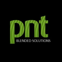 SEO Experts | Ecommerce Solution Provider(@PNT_Global) 's Twitter Profile Photo