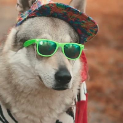 MarsMiddle's profile picture. Graphic designer, hockey enthusiast & videographer.