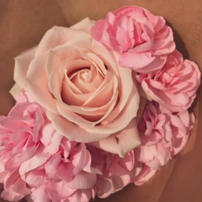 nekochan_TT's profile picture. 看護師・大学院生・非常勤大学教員 ﾈｺﾁｬﾝ大好き お花と太陽が好き おおかみさんも大好き