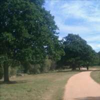 robokit's profile picture. 