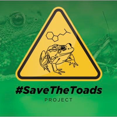 Project Save the Toads