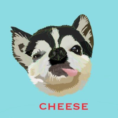 2009.4.27▶︎▷▶︎2022.7.28🌈 空にお散歩に出た愛犬チーズとの思い出🧀 無言フォロー失礼します🤗 イラストのリツイートとフォローしてくれた方には、たまーに絵のプレゼントしてます！書いた絵はサンプルとして使用させて頂きます。何かの形で応援できたら…※勝手に書いた似顔絵はサンプルとして使用しません。
