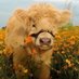 Blueberry pie (@cowgirlinyellow) Twitter profile photo Blueberry pie (@cowgirlinyellow) Twitter profile photo