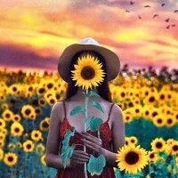 Louise Cinnamon (@louisecinnamon) 's Twitter Profile