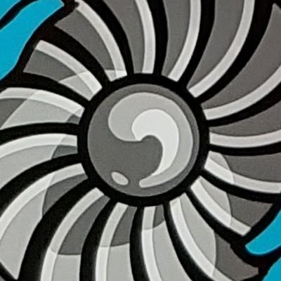 _turbiniy's profile picture. UAF🛫🛬🚁🛩✈🇺🇦