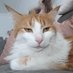 Смрт фашизму @panxnotded@kolektiva.social (@panxnotded) Twitter profile photo Смрт фашизму @panxnotded@kolektiva.social (@panxnotded) Twitter profile photo