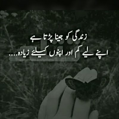 RizwanA94197502's profile picture. 