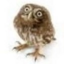 Richard Bourgerie - @Bourger1R - Twitter