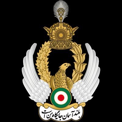 لطفا به خاطر بک فالو نکنید🕊🫒
عقابی🦅 بازنشسته که هر شب خواب پرواز میبیند.