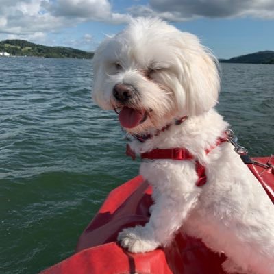 Naomihitchin's profile picture. .