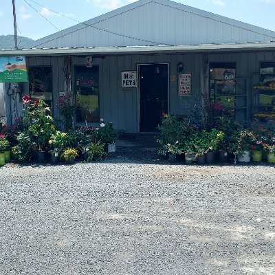 Silver Lake Garden Center has been a trusted name in the plant business for over 30 years!
Contact us via email
silverlakegardencenterstore@gmail.com