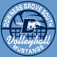 Downers Grove South Girls Volleyball(@dgsvball) 's Twitter Profile Photo