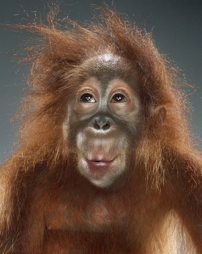 stephcorrea's profile picture. rédacteur-en-chef photo La Tribune Dimanche 📸