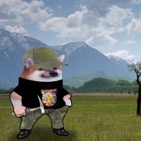 MaPf 'Einst 1 Steinler' (@mapf_dmk) Twitter profile photo
