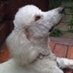 Madeleine Coulombe (@madeleinecoulo4) Twitter profile photo Madeleine Coulombe (@madeleinecoulo4) Twitter profile photo