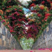 Tuba Yagan (@tubayagan2) Twitter profile photo