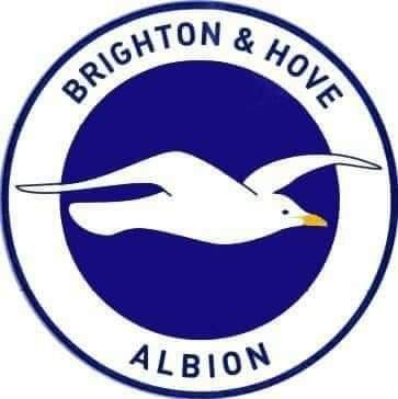 Big Brighton supporter