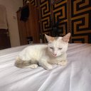 Billie Jay - @billie_jay101 - Twitter