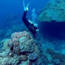 Beth Kruse - @BethKru24416202 - Twitter