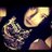 ontheceiling's profile image