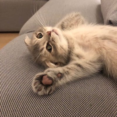 imdavidbbb's profile picture. 🫧☀️