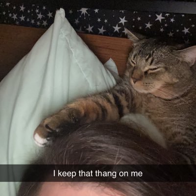 SeanMcCrann's profile picture. oversharing on the internet is my specialty